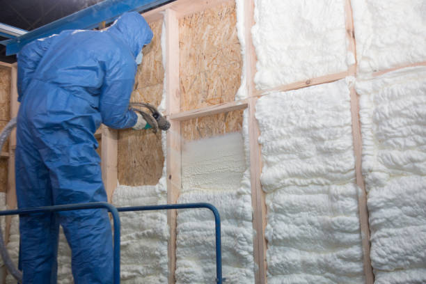 Best Commercial Insulation Services  in Sargent, TX